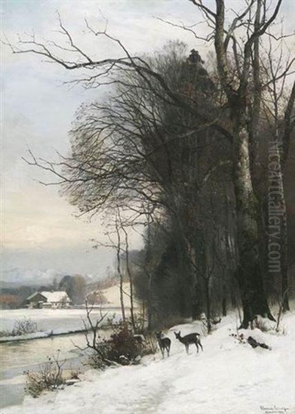 Rehe In Einem Verschneiten Tal In Den Voralpen - view 1