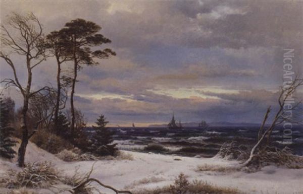 Nordsjaellandsk Kystparti Med Udsigt Mod Svenskekysten, Vinter - view 1