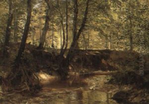 A Woodland Stream A Woodland Stream