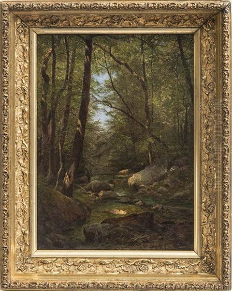 A Catskill Creek - view 1