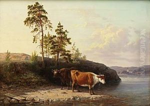 Boskap Vid Vatten Boskap Vid Vatten