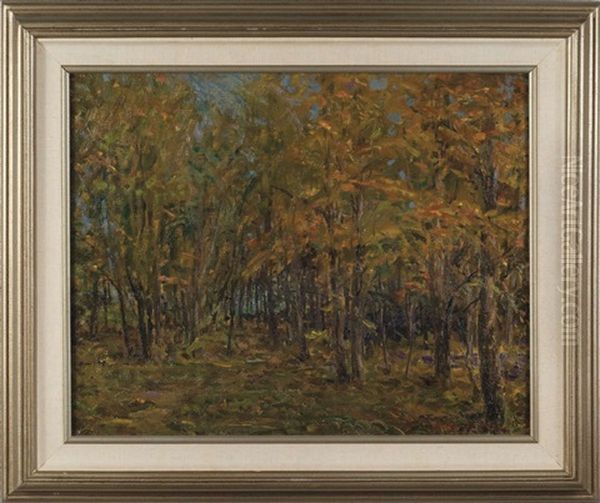 Autumn Woods - view 1