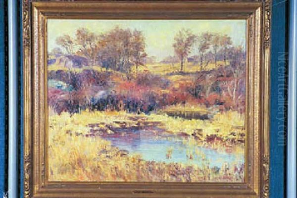 Late Autumn - view 1