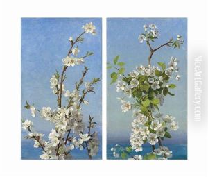 Two Studies Of Hawthorn Blossom, Capri (2 Works) by Sophie Gengembre Anderson
