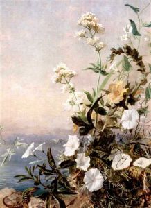 Still Life Of Flowers, Capri (pair) by Sophie Gengembre Anderson
