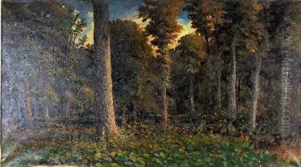 Woodland Interior - view 1