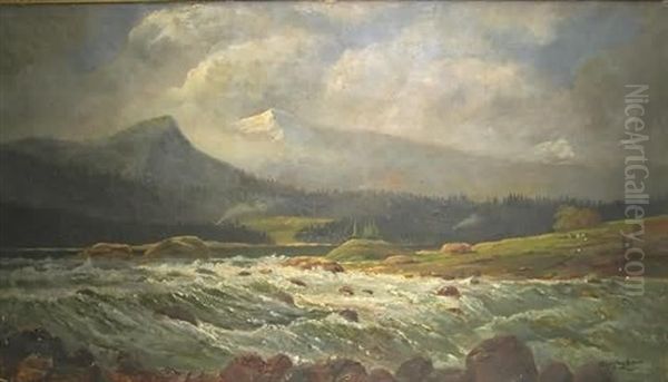 Western Landscape Of Colorado River - view 1