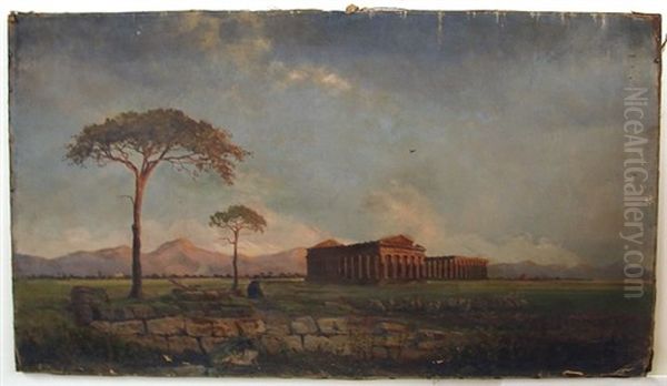 Shepherd With Sheep, Colosseum In Background - view 1