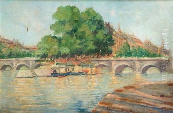 La Seine A Paris - view 1