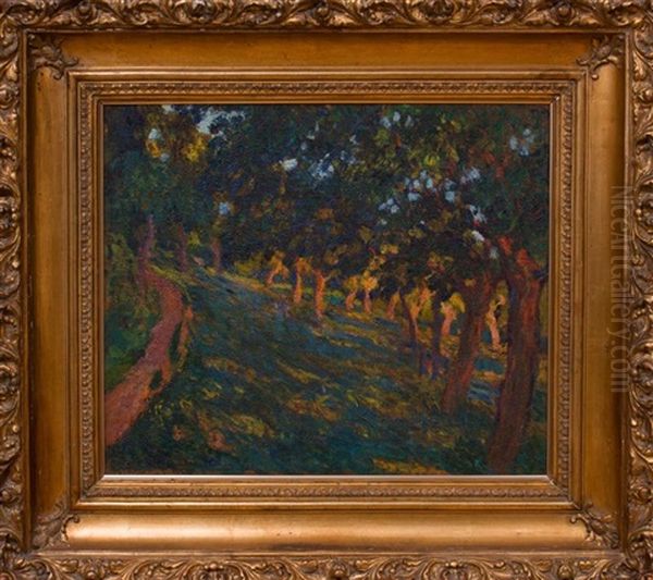 Paysage - view 1