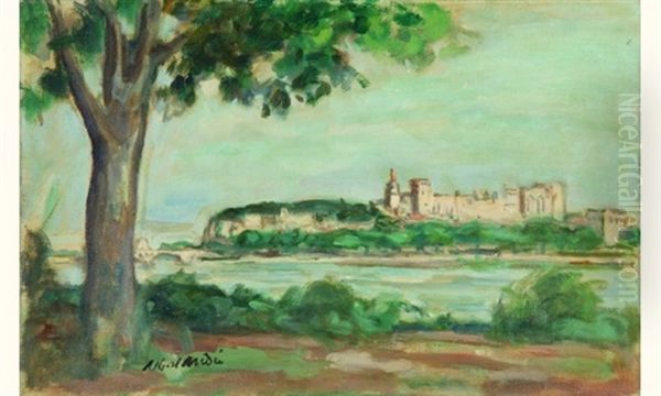 Le Chateau Des Papes, Avignon - view 1