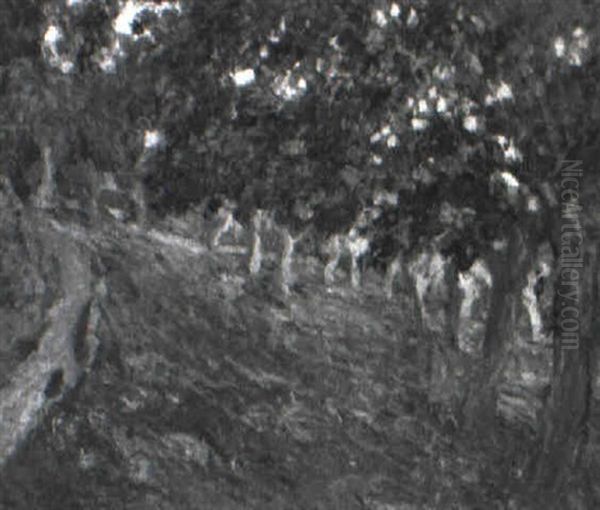 Paysage - view 1