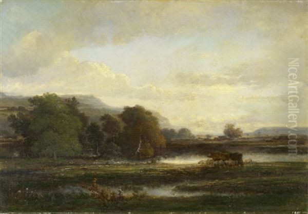 Teichlandschaft Mit Kuh- Und Schafherde - view 1