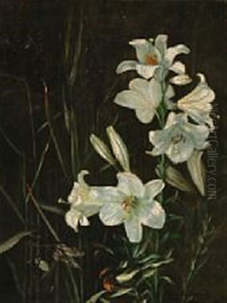 White Lilies - view 1