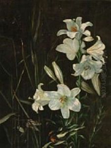 White Lilies White Lilies