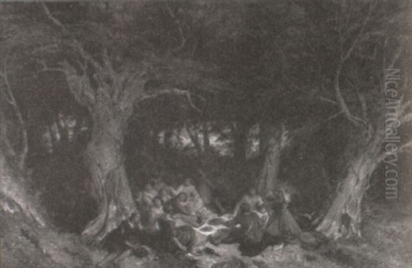 Sherwood Forest - view 1