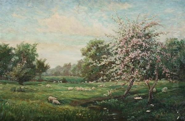 A Creekside Meadow - view 1