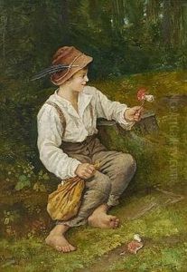 Der Kleine Pilzsammler