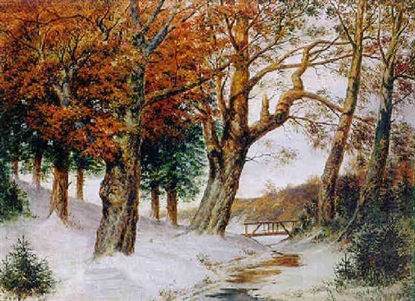 Verschneite Winterlandschaft - view 1