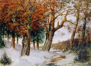Verschneite Winterlandschaft Verschneite Winterlandschaft