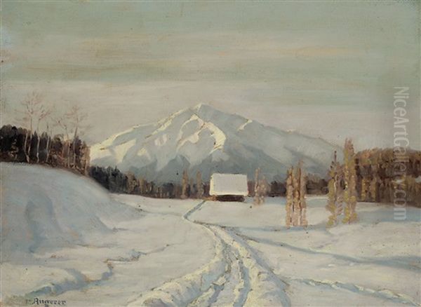 Winterlandschaft - view 1