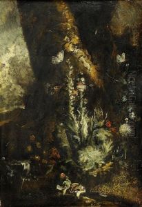 Still Life With Butterfly by Johann Adalbert Angermayer