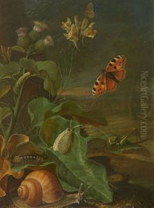 Still Life With Plants And Insects by Johann Adalbert Angermayer