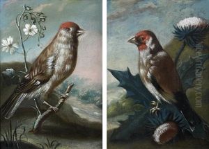 Chardonneret Et Linotte Melodieuse (pair) by Johann Adalbert Angermayer