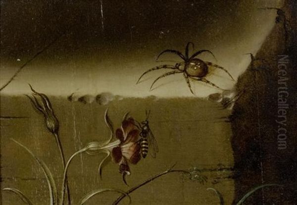 Stilleben Mit Spinne Und Vespe - view 1