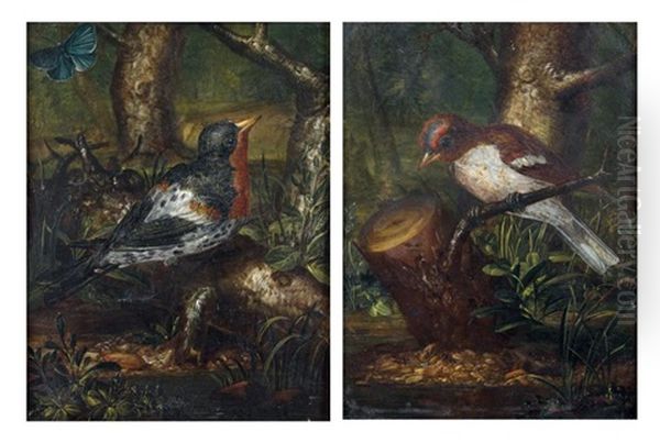 Pinson Des Arbres (+ Roitelet Dans Des Paysages; Pair) - view 1