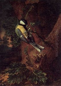 Kohlmeise In Einem Waldesgrund Kohlmeise In Einem Waldesgrund