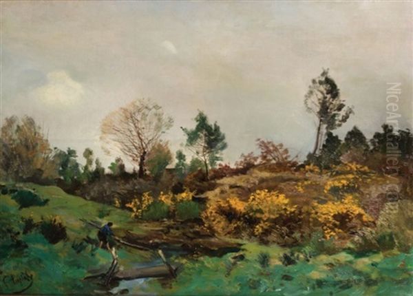 Paysage Anime Dans La Lande - view 1