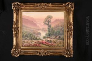Les Bruyeres En Fleurs Sur Les Coteaux