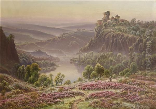 Premiers Rayons Dans La Correze - view 1