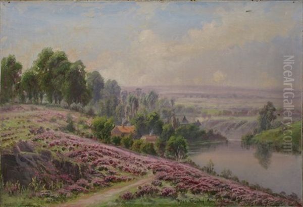 La Souterraine, Bruyeres En Fleurs - view 1