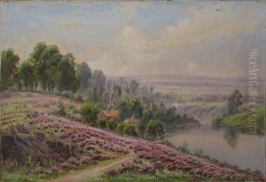 La Souterraine, Bruyeres En Fleurs La Souterraine, Bruyeres En Fleurs