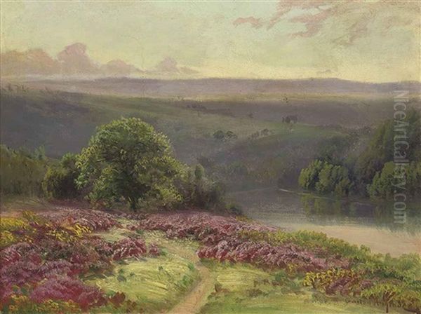 A River Running Through A Valley At Dusk - view 1