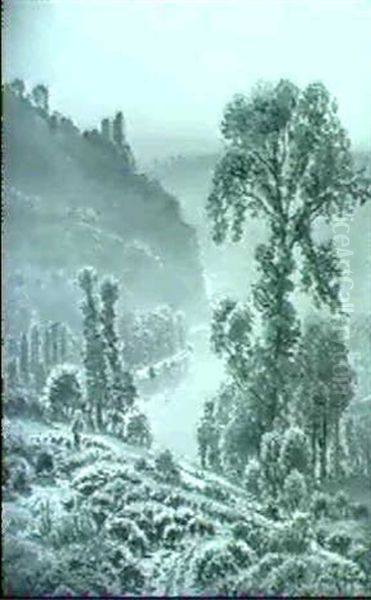 Haute Vallee De La Dordogne - view 1