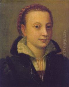 Portrait Of Minerva Anguissola, Wearing A Black Dress, A Brown Bodice And A White Lace Chemise
