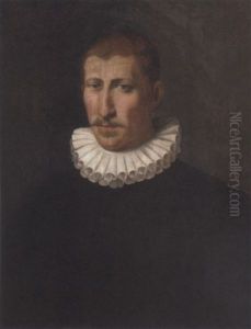 Portrait Of A Gentleman In A Black Doublet And A White Ruff by Sofonisba Anguissola