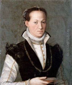 Bildnis Einer Dame, Die In Der Hand Ein Buch Halt by Sofonisba Anguissola