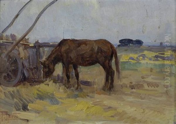 Cavallo Al Pascolo - view 1