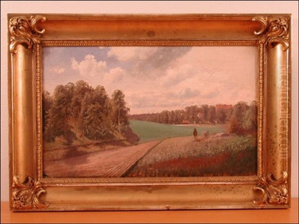 Kesainen Maantie - view 1