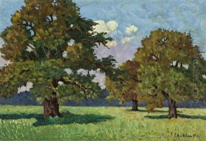 Blick In Weite Wiesenlandschaft Zur Mittagsstunde, Mit Knorrigen Laubbaumen Im Vordergrund by Eugen Ankelen