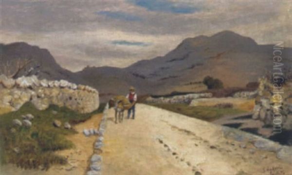 Landstrase In Dalmatien - view 1