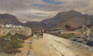 Landstrase In Dalmatien