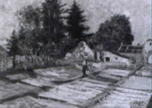 Gartnerei Mit Beeten Und Glashaus by Eugen Ankelen