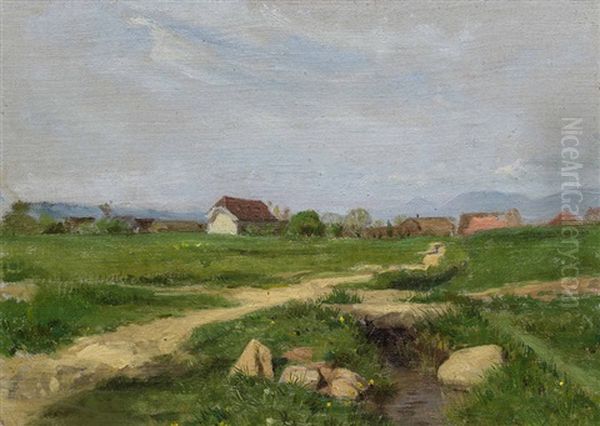 Am Dorfrand Von Ins - view 1