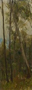 Waldstudie Waldstudie