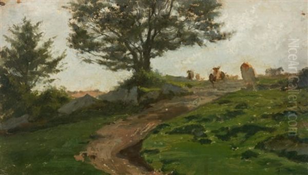 Feldweg Im Seeland - view 1